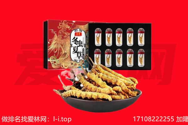 邯郸市回收虫草.jpg